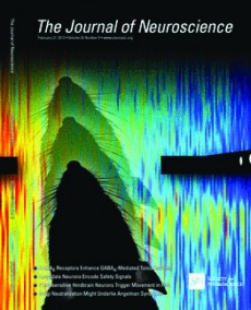 JNeurosci_Feb2013