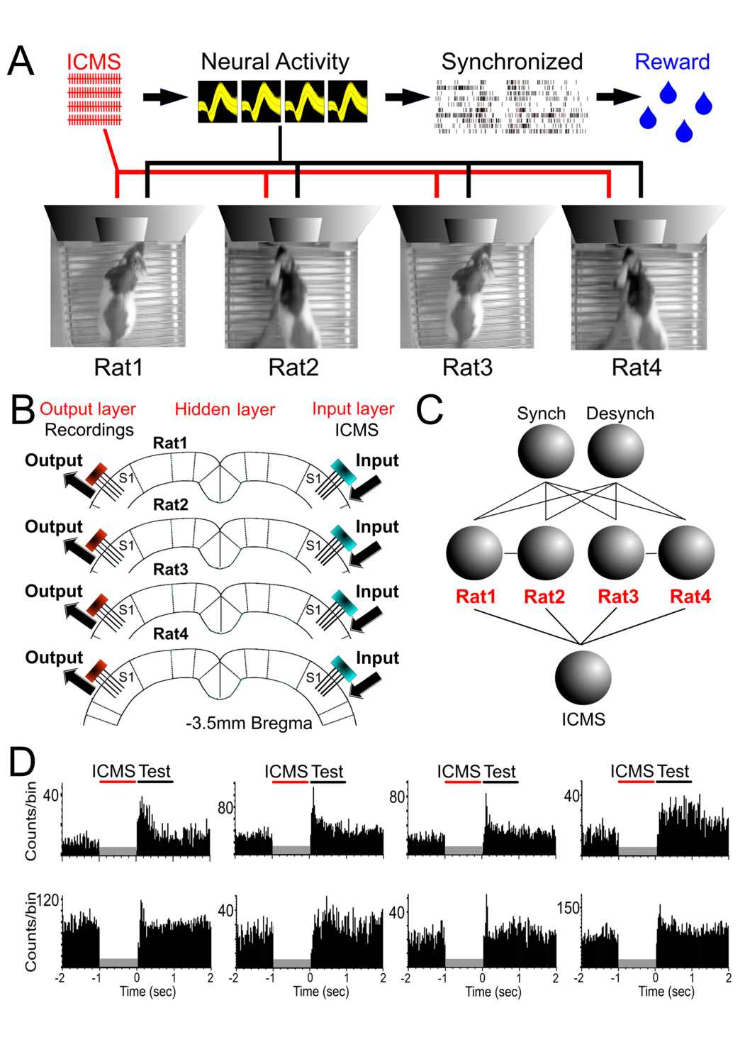 Figure_1_Vieira