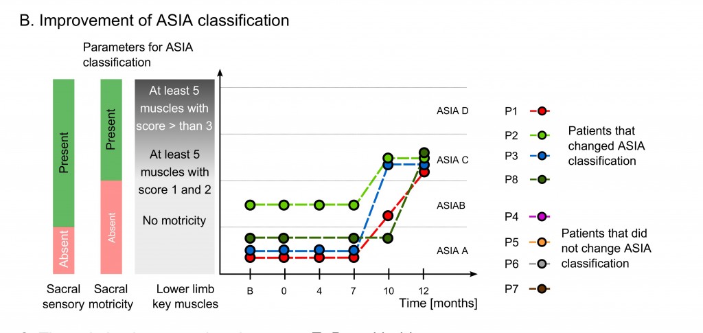 Description - Patients with ASIA classification improvements: four patients changed ASIA classification over the course of the neuro-rehabilitation training, three moved from ASIA A to C and one moved from ASIA B to C. ASIA A is characterized by absence of both motor and sensory functions in the lowest sacral area, ASIA B by the presence of sensory functions below the neurological level of injury, including sacral segments S4-S5 and no motor function is preserved more than three levels below the motor level on either side of the body, ASIA C by the presence of voluntary anal sphincter contraction, or sacral sensory sparing with sparing of motor function more than three levels below the motor level, majority of key muscles have muscle grade less than 3.